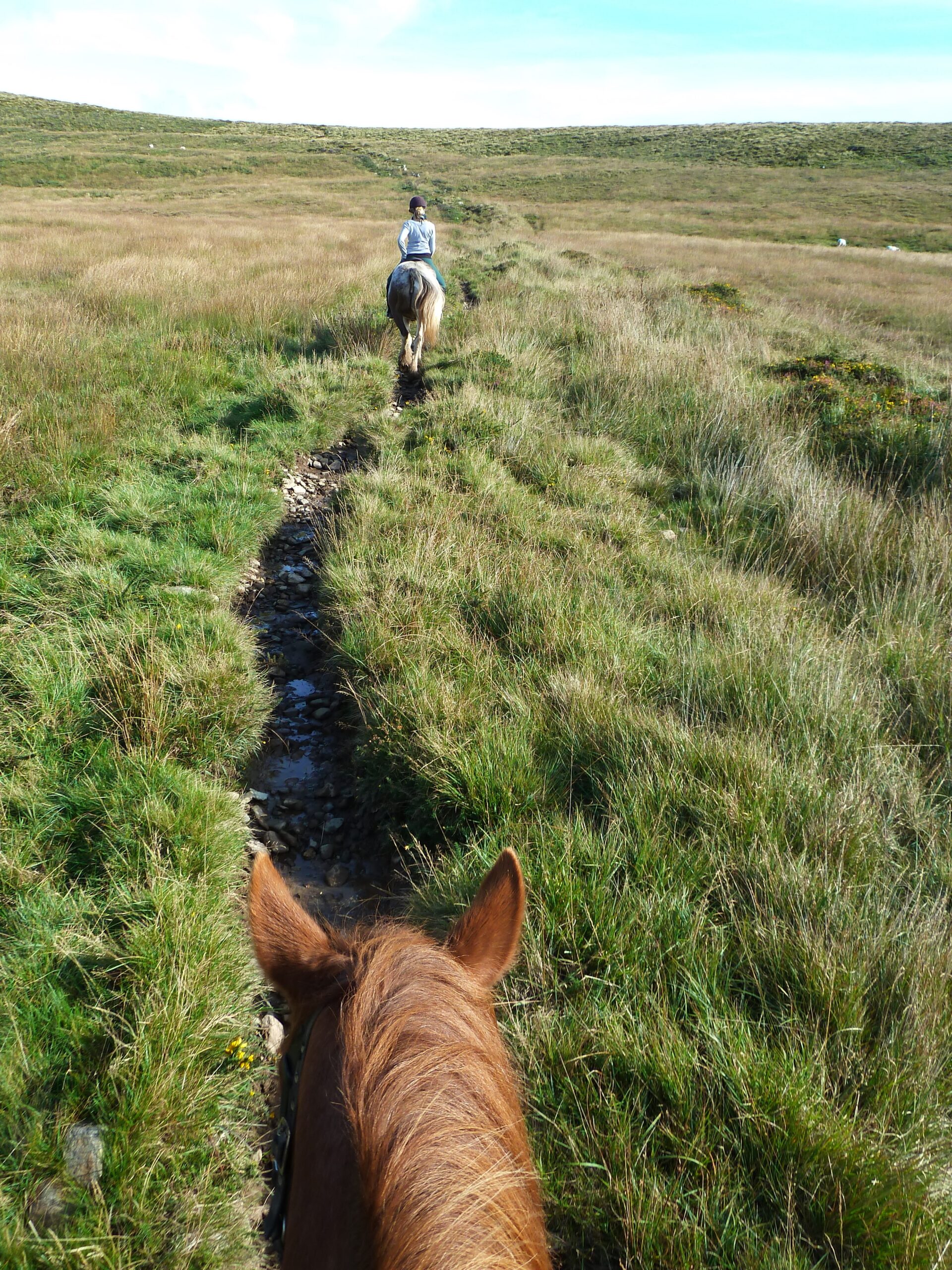 Horseback riding through Southwest Ireland's grassy hills