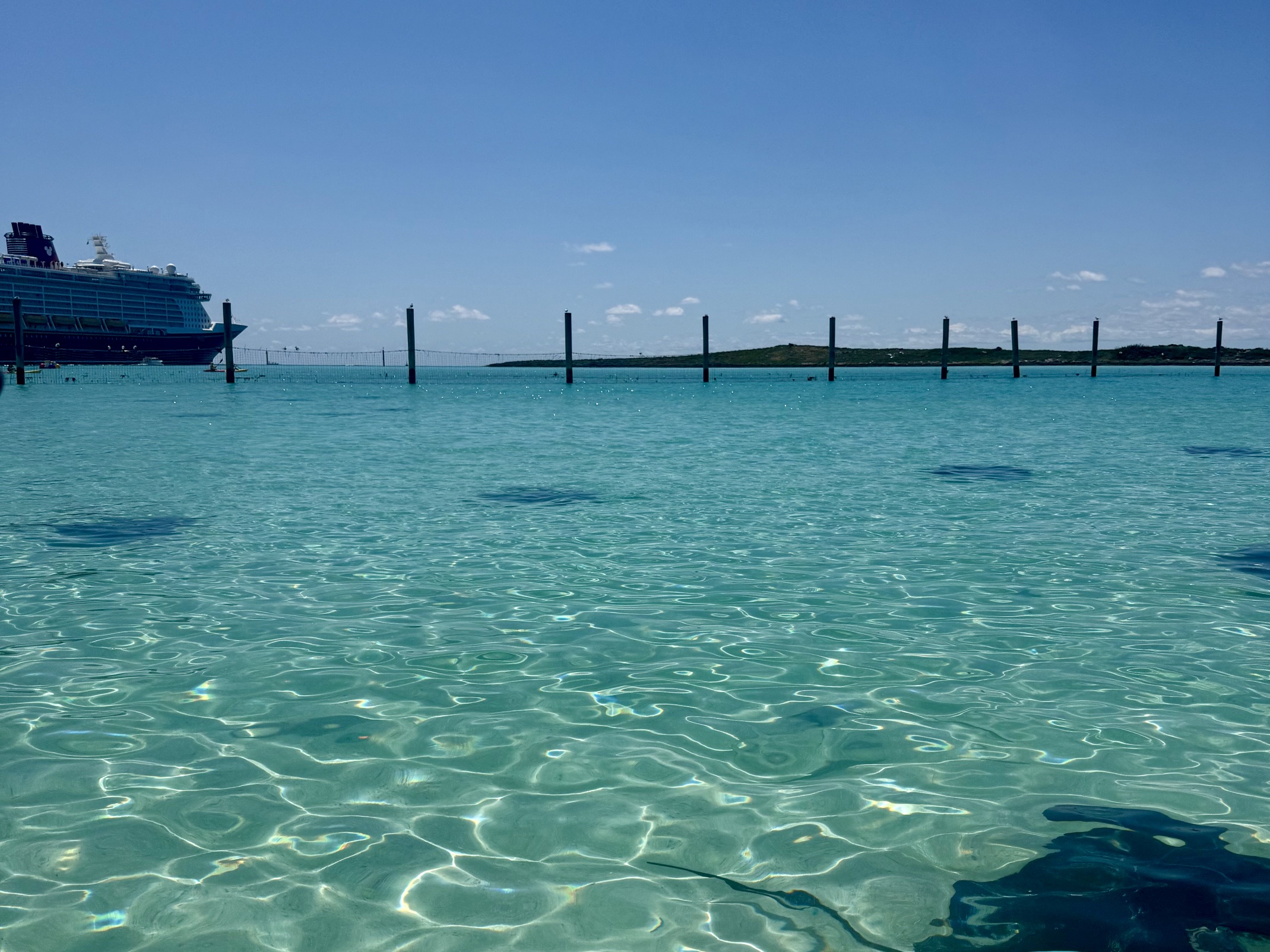 Stingrays at Disney's Castaway Cay in the Bahamas